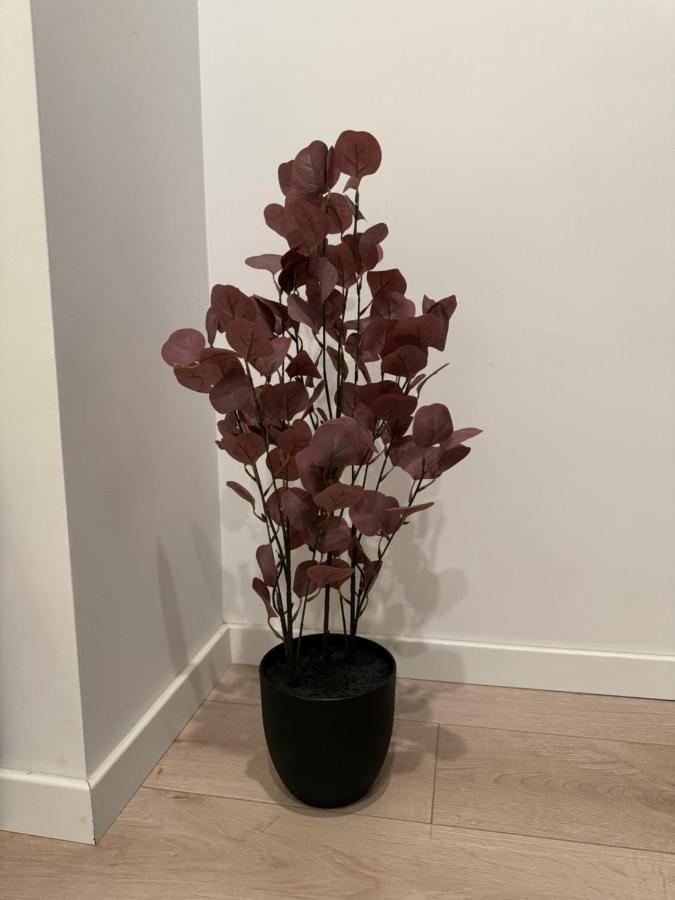 Warm Hotel Apartment Bucureşti Eksteriør bilde