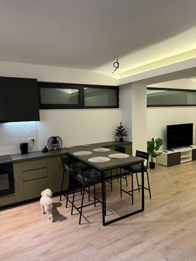 Warm Hotel Apartment Bucureşti Eksteriør bilde